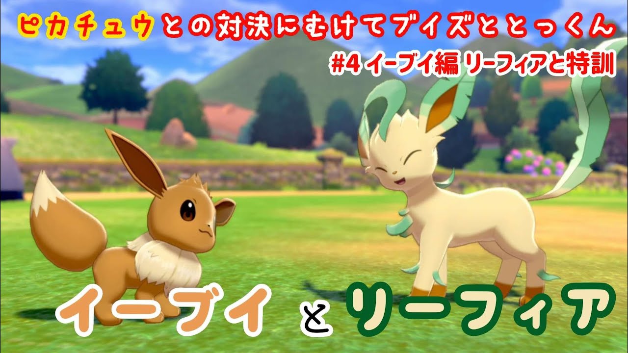 イーブイとリーフィア♪ イーブイ リーフィア ピカチュウ 【ピカVSブイ】