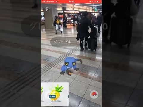 ポケモンGO  羽田空港  グレッグル
