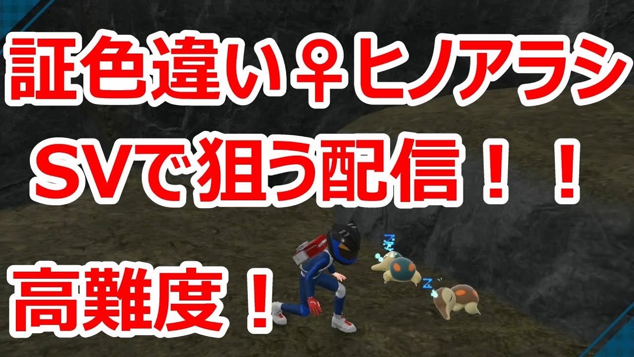 証色違い♀ヒノアラシを狙うSVで配信！！