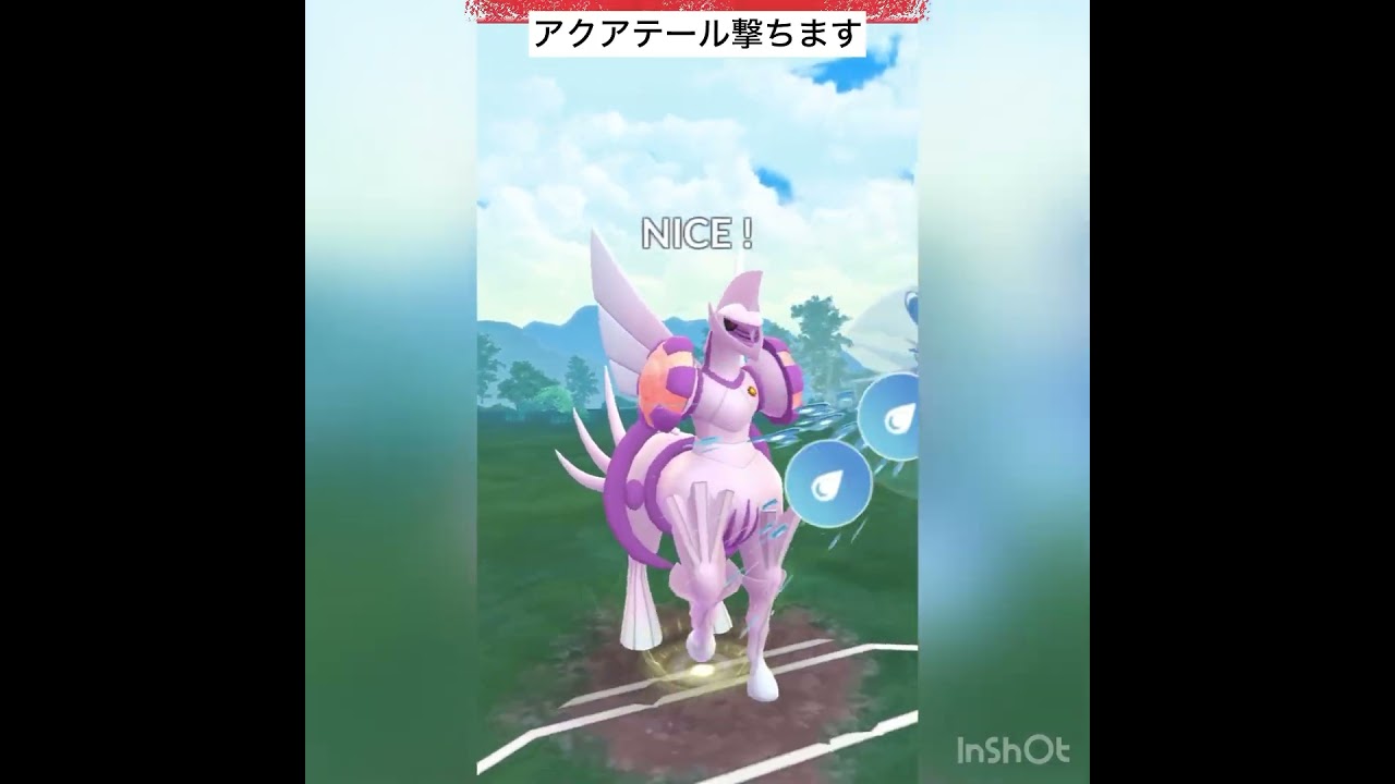 またでた💦マーシャドー‼️