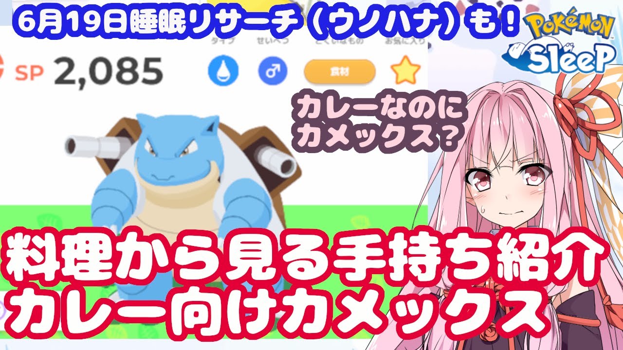 【ポケモンスリープ】サマーフェスの料理でも活躍！睡眠リサーチもあるよ【無課金攻略332日目】