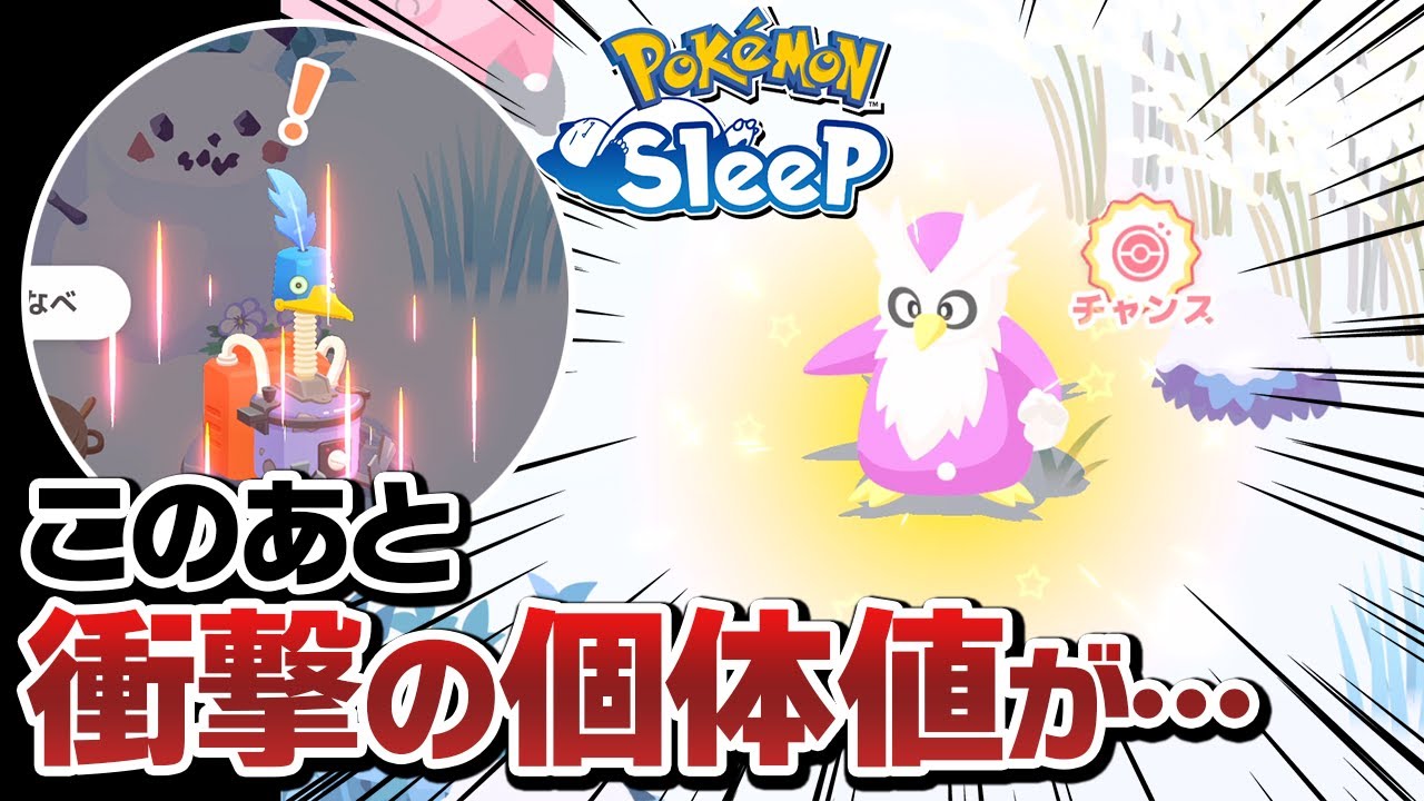 デリバードとウッウ狙いのリサーチで奇跡が起きました【ポケモンスリープ】