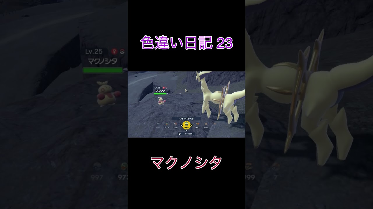 【ポケモンSV】マクノシタ 色違い日記23 #shorts #ポケモン
