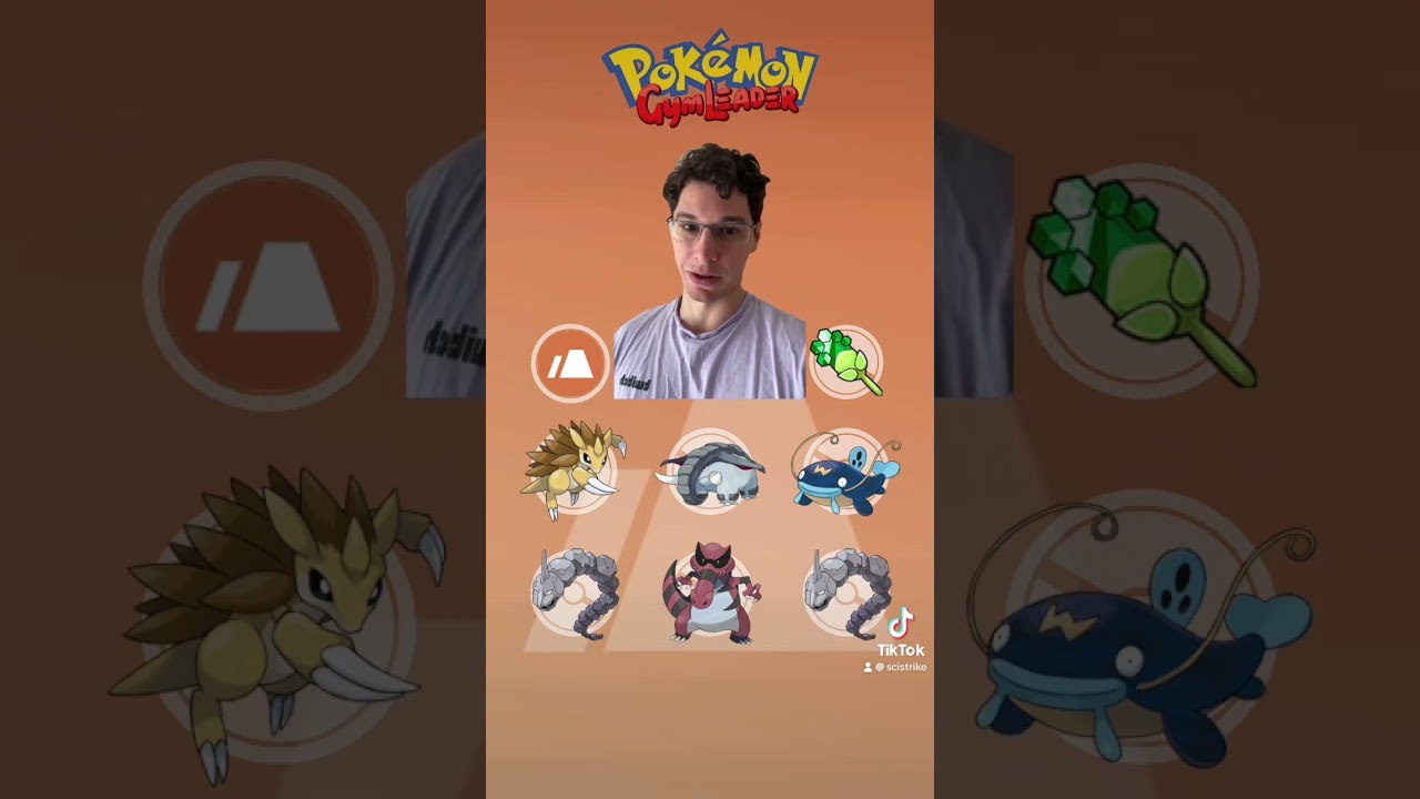 What If I Was A Ground Type Gym Leader?