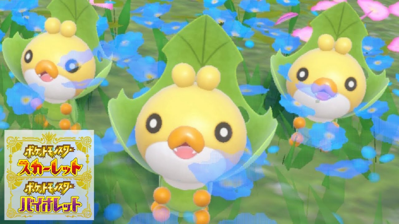 クルミル６匹に囲まれて癒されピクニック【ポケモンSV】