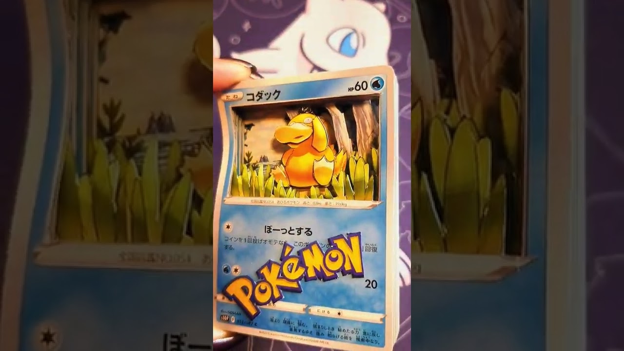 【中華ザンマイ】流行りのコダック【シャドーボックス】