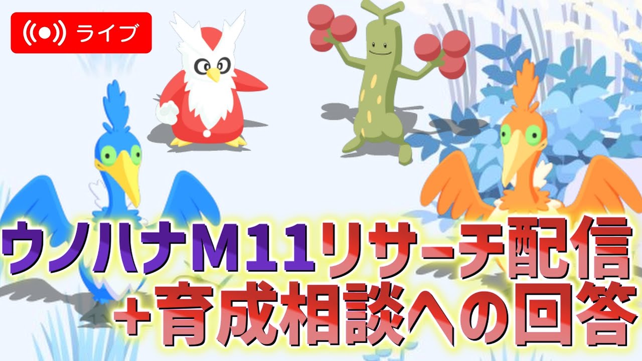 6/22 デリバード狙いリサーチ配信+育成相談への返答21:00～