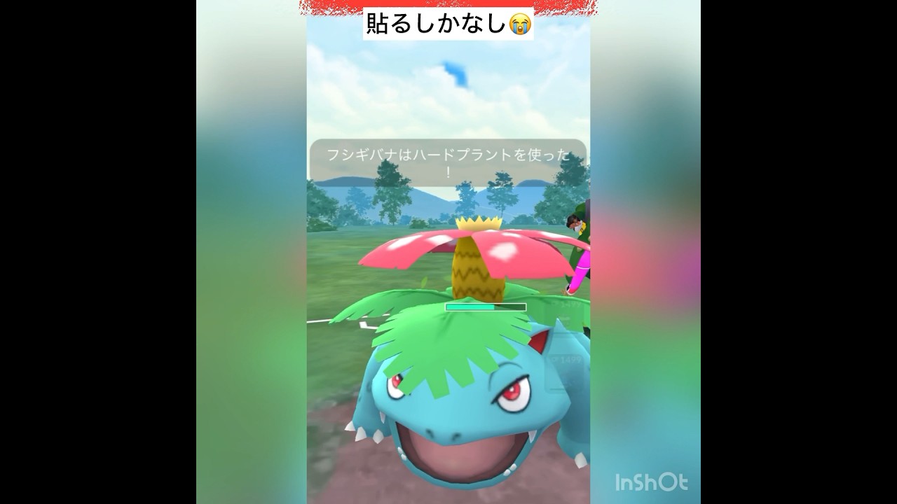 プクリン🆚フシギバナ💦フェアリー3枚使ってみた！(◎_◎;)