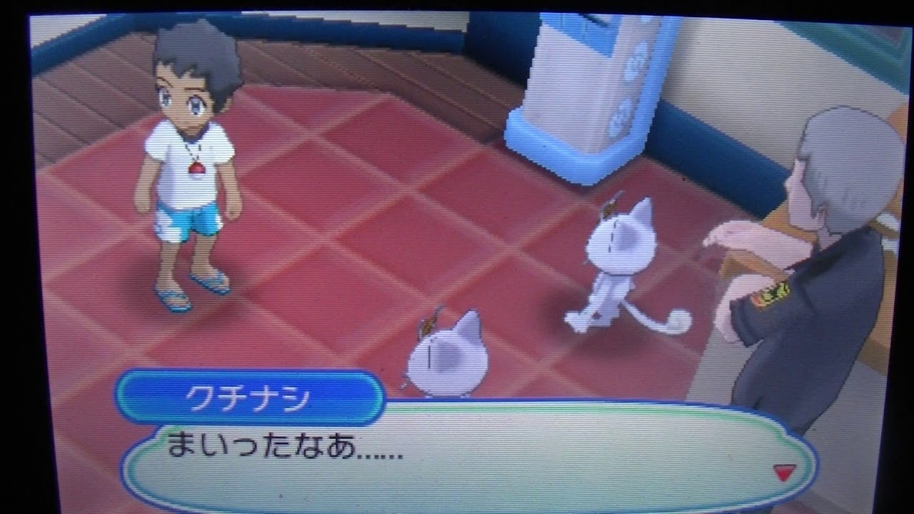 さあこの中から好きなニャースを選べ【ポケモンウルトラサンムーン】