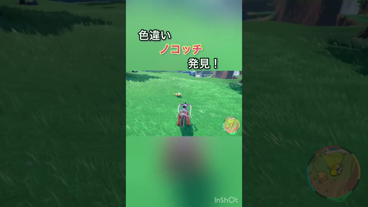 【ポケモンSV】色違いノコッチ発見！#ポケモンsv #ポケモン #ポケットモンスター #ポケモンスカーレット