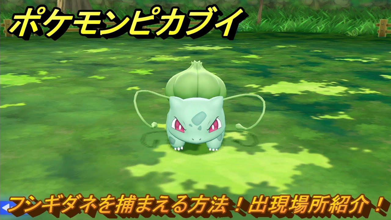 ポケモンピカブイ　フシギダネを捕まえる方法！出現場所紹介！図鑑コンプへの道！　【ポケットモンスター Let's Go! ピカチュウ・イーブイ】