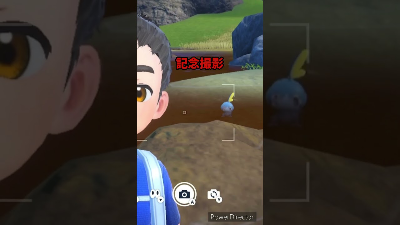 【ポケモンバイオレット】メッソン発見したテンションのまま記念撮影　#ポケモンバイオレット #ゲームリハビリ #切り抜き #shorts