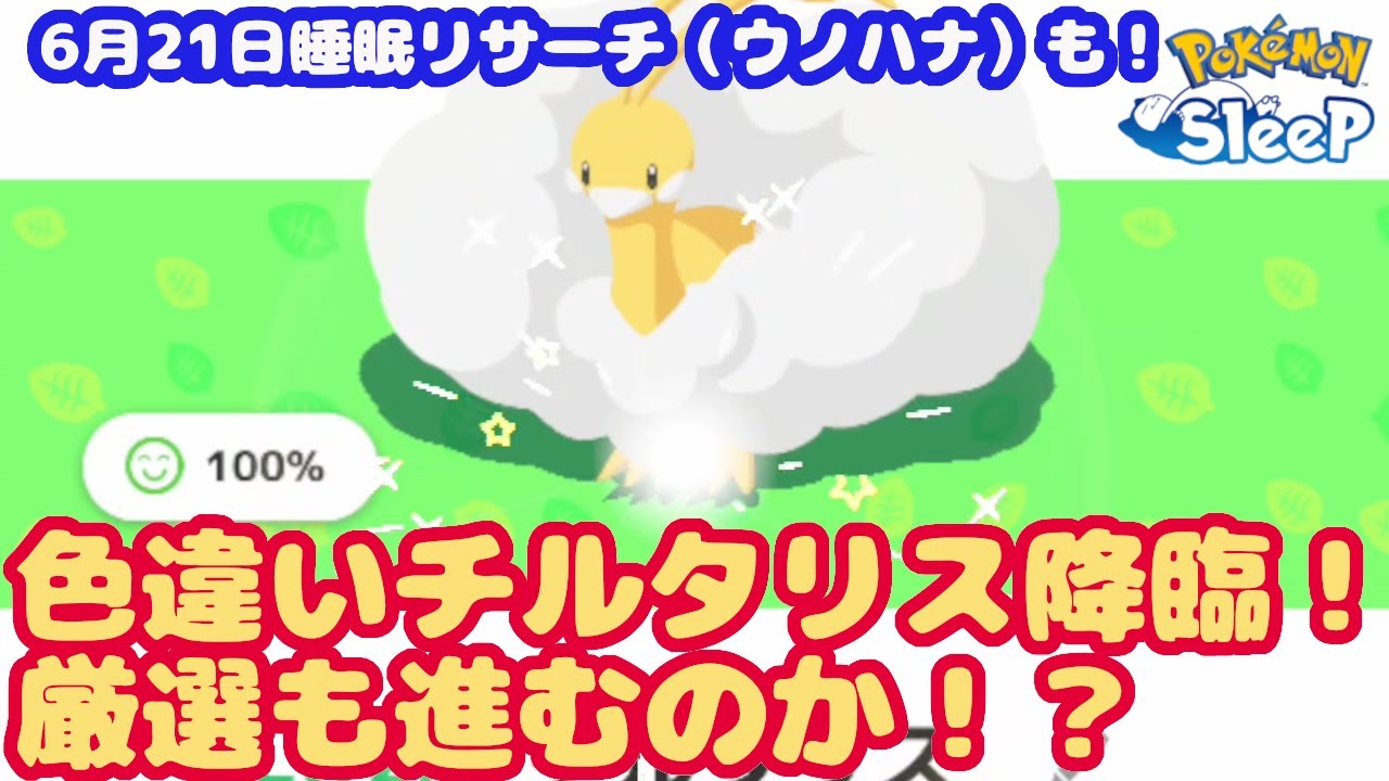 【ポケモンスリープ】サマーフェスティバルだから色違いも出てほしい【無課金攻略334日目】