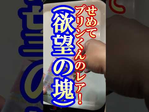 サンリオキャラクターズウエハース2を10パック開封で最推しプリンくんを狙う！