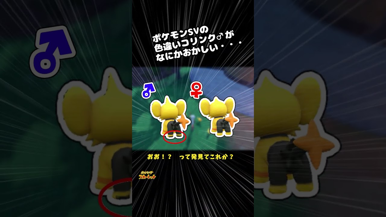 【ポケモンSV:限界突破の色縛り!?】ポケモンSVの色違いコリンク(♂)が何かおかしい件　#shinypokemon  #色違いポケモン