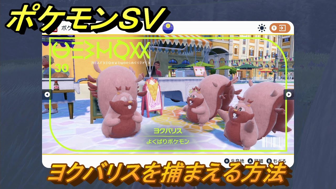 ポケモンＳＶ　ヨクバリスを捕まえる方法！出現場所は？図鑑No.３０　ポケモン図鑑を埋めよう！　【スカーレット・バイオレット】