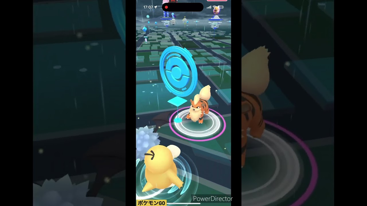 ミニミニガーディ #pokemon #ポケモン #ポケモンgo #ガーディ