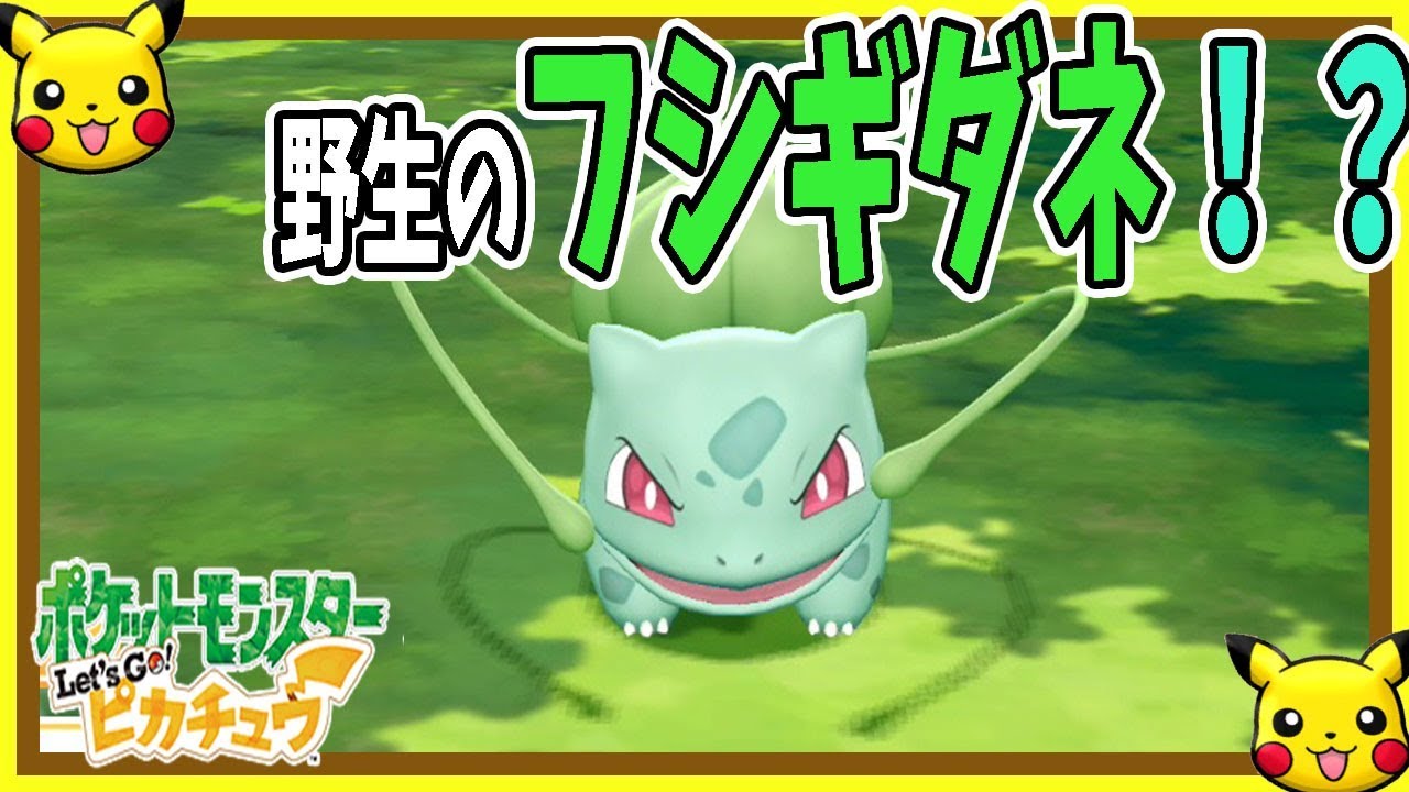 #3【レッツゴーピカチュウ】フシギダネ出現に大興奮！初代の懐かしさを楽しみながら実況プレイ！【ポケモン】