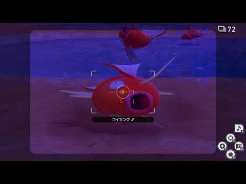 Newポケモンスナップ　★1コイキング【5036】