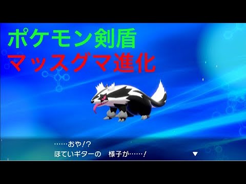 【ポケモン剣盾】ほていギター(マッスグマ)がさらに進化しました Pokémon Sword Shield