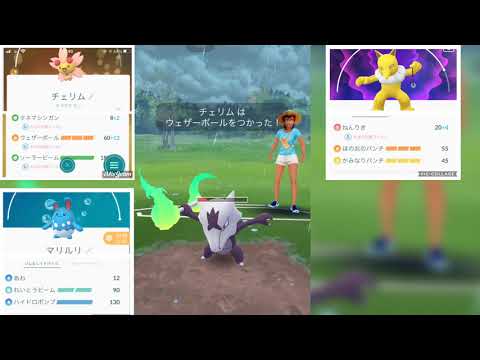 【ポケモンGO】チェリムはどうしても外せない！！