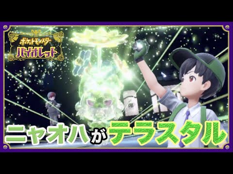 【ポケモンSV】実況Part3 ニャオハがテラスタル！【新ポケ&モルペコ縛りでポケットモンスター スカーレット/バイオレット】