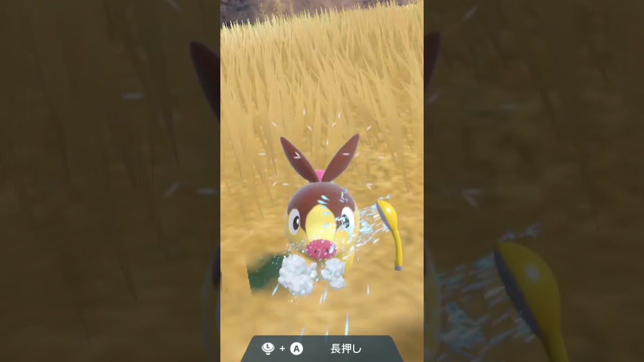 ポカブ 色違い Tepig【ポケモンsv】