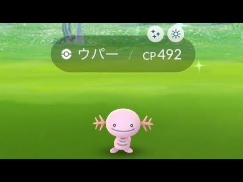 ポケモンGO  ウパー色違い