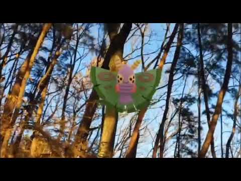 독케일 ( Dustox ) ドクケイル ( 毒粉蛾 ) (16:9)