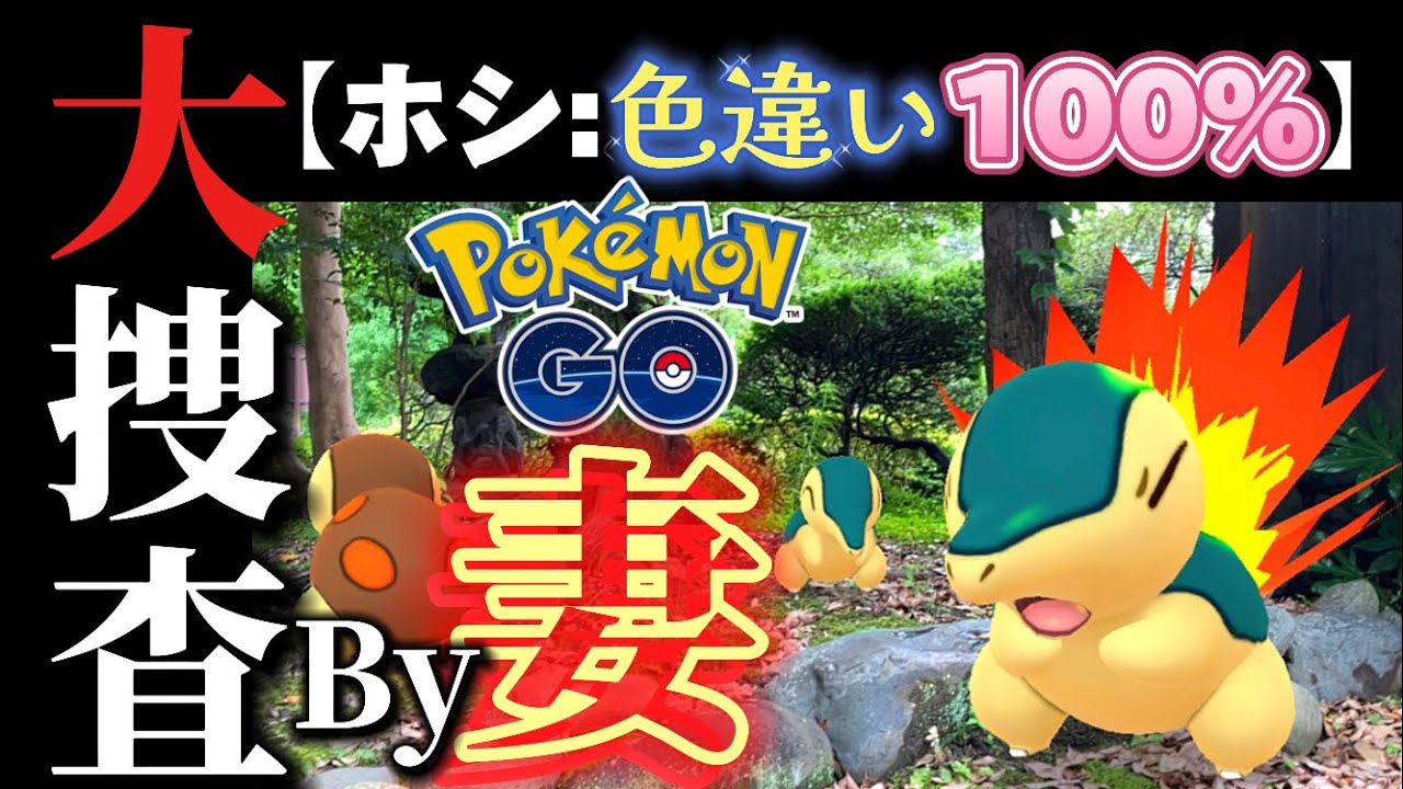 【理不尽】色違い100%捜索を強いる妻とそれに抗う俺【ポケモンGO】