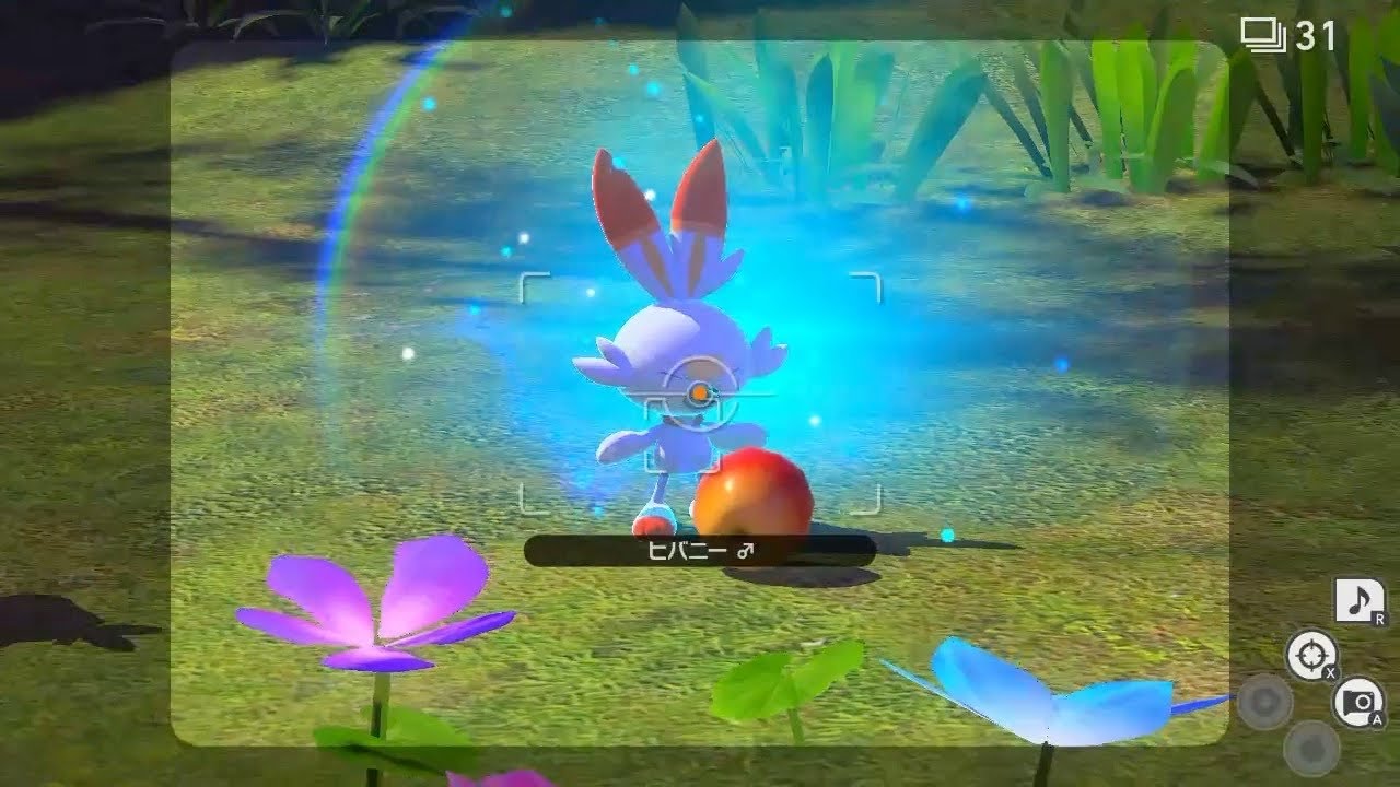 ヒバニー　かわいそう【Newポケモンスナップ】 #shorts