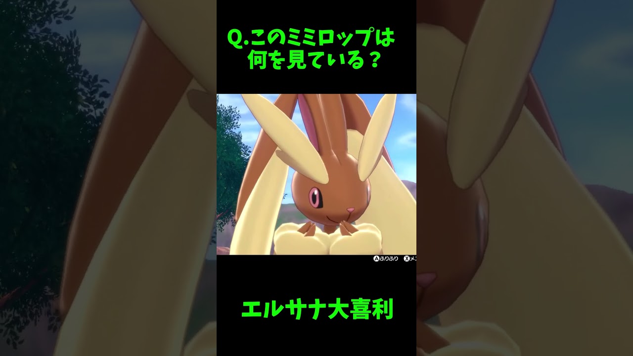 【エルサナ大喜利】このミミロップは何を見ている？ #shorts