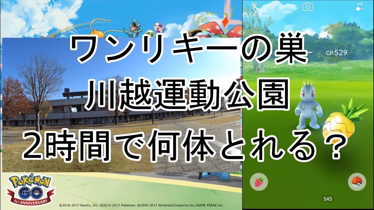 【ポケモンGO】ワンリキーの巣である川越運動公園へ行ってみた