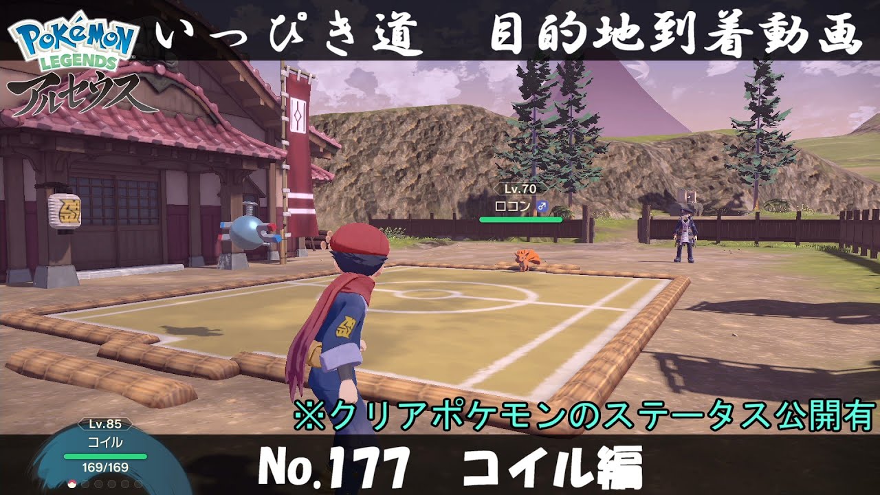 【いっぴき道攻略】No.177 コイル編【Pokémon LEGENDS アルセウス】