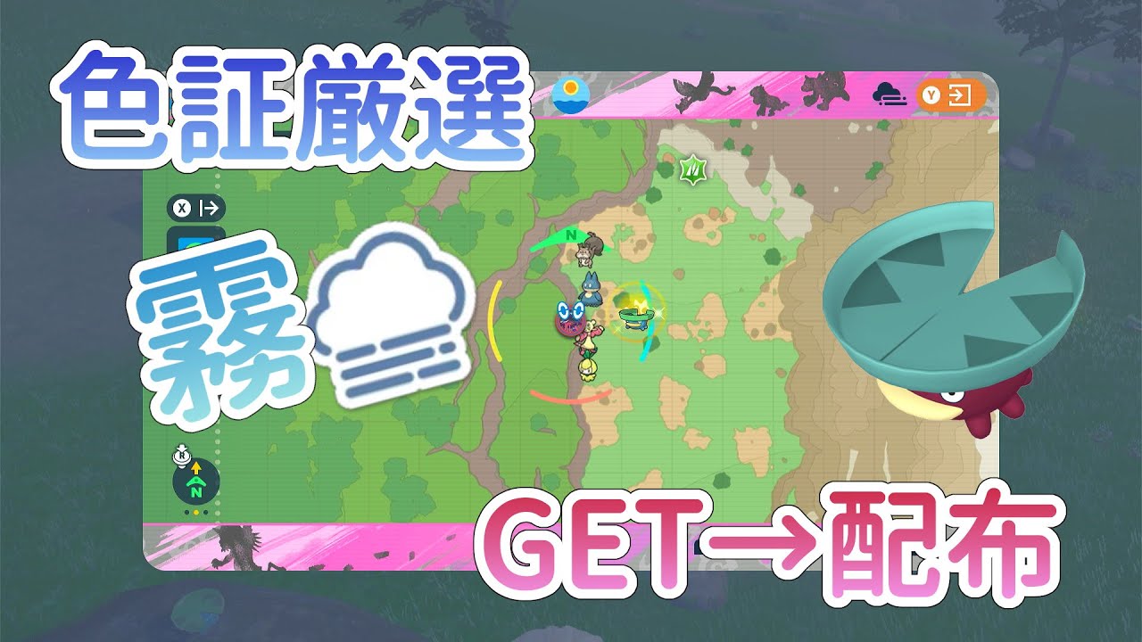 【ポケモンSV】ハスボー色証厳選 濃霧狙い GETしたら配布 ※概要欄参照