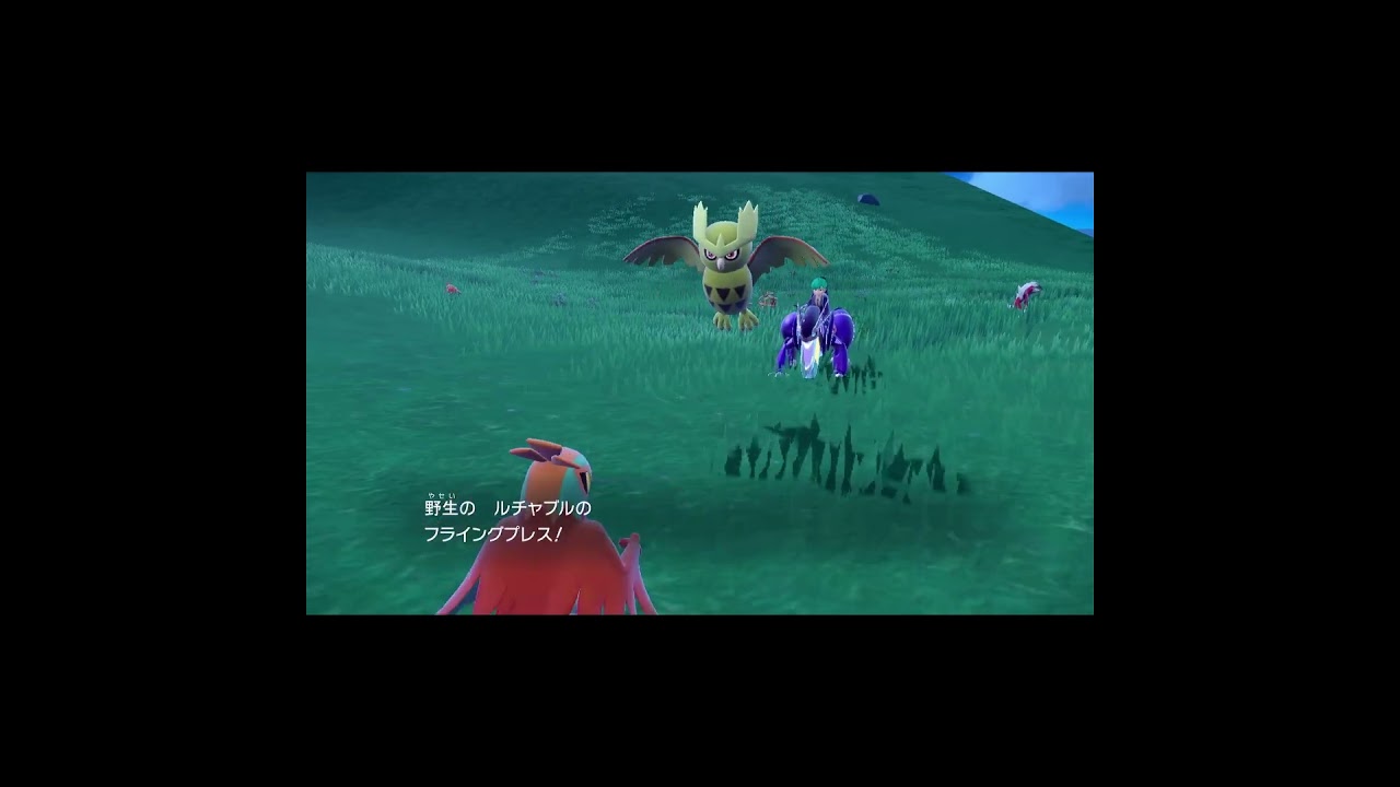 ルチャブルだって遊びたい【ポケットモンスターバイオレット　碧の仮面】