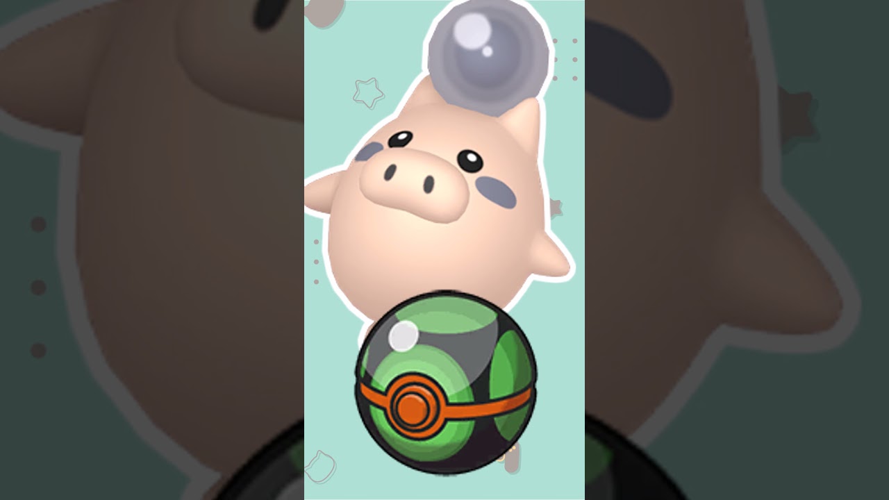 【オシャボ】色違いバネブーみんなは何ボールに入れる？#shorts #ポケモンsv #ポケモンsv色違い   #pokémon