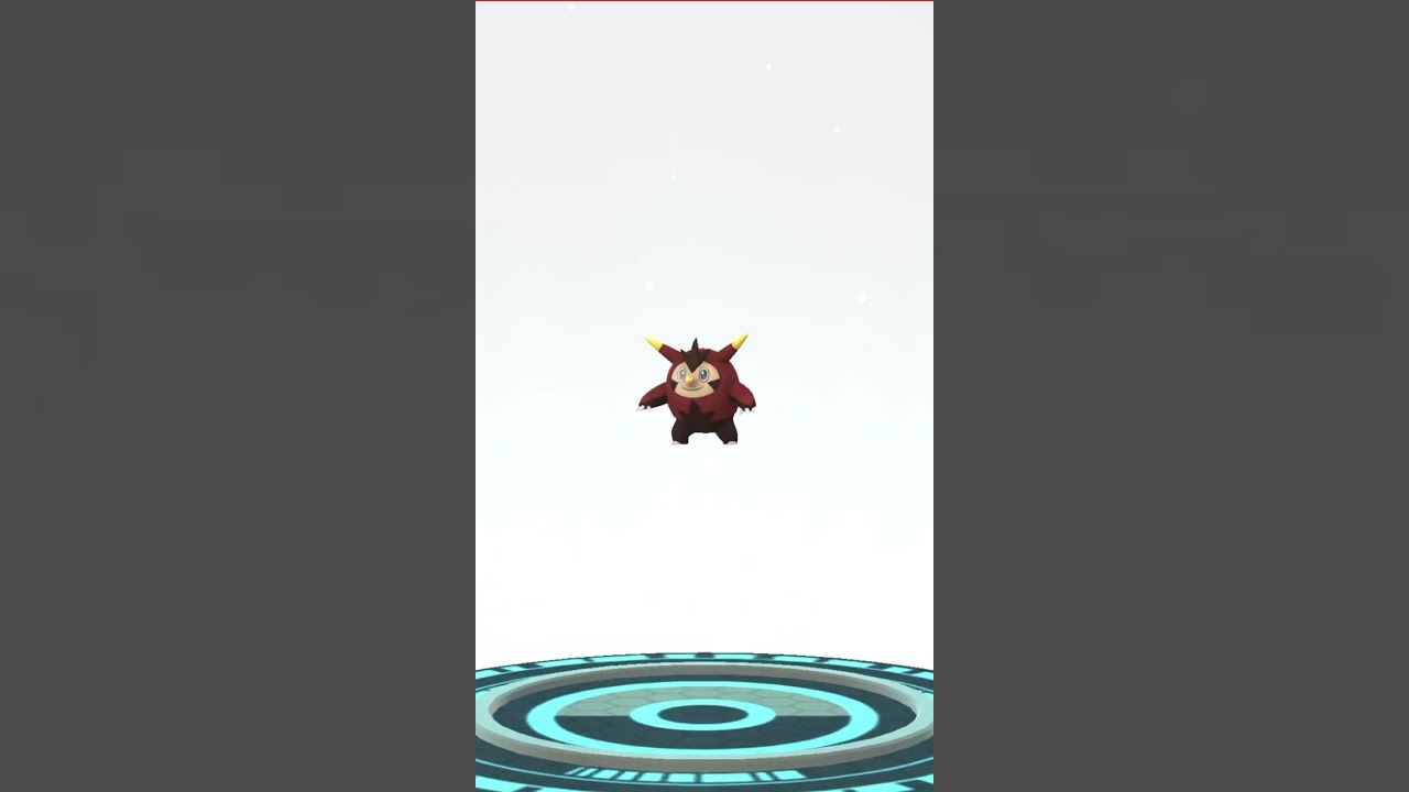 かがやくハリマロンの進化✨　#ポケモンgo #pokmongo #pokemongo #pokemon #pokemongame #shiny
