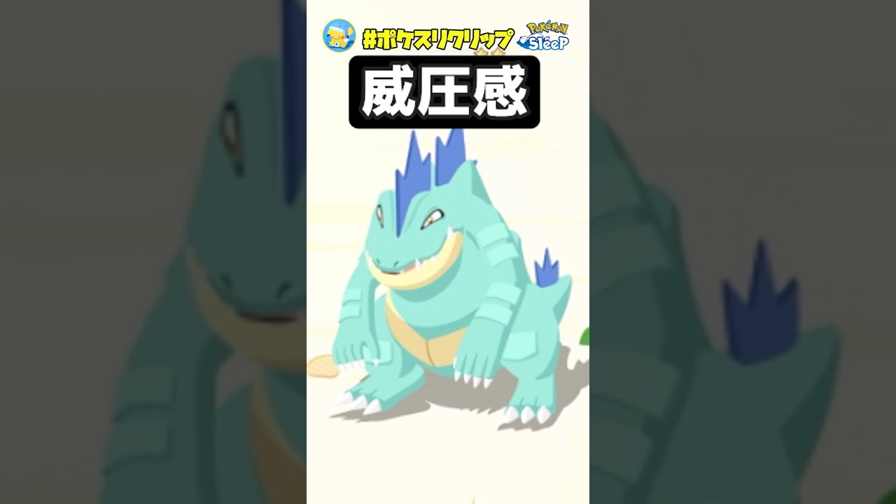 破壊力抜群『色違い』オーダイルにウッウ・ヤドキング・イーブイも色違いだと・・！？【ポケモンスリープ】#ポケスリクリップ #shorts