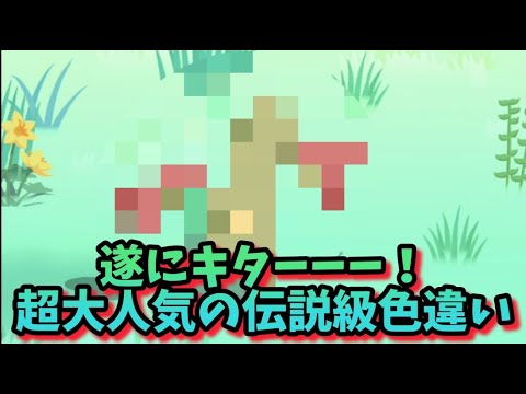 【ポケスリ】英雄は遅れてくる⁉伝説((笑))の色違い降臨！【ポケモンスリープ】【POKEMON】