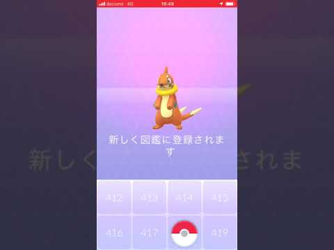速報⁈野生でブイゼル発見しました! ポケモンGO