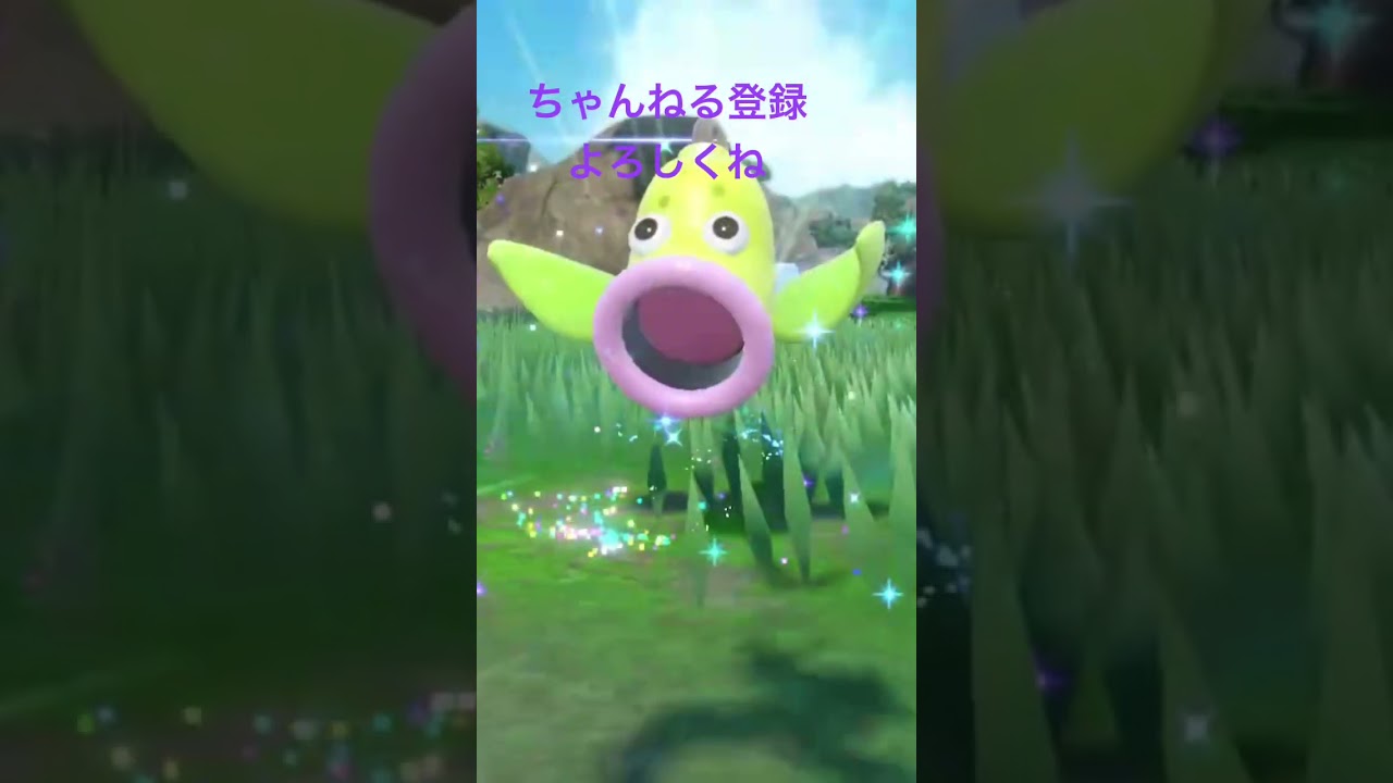 色違いマダツボミ進化 #gameplay #ポケモン #ポケモン25周年 #ポケモンsv #ポケモン151 #ゲーム実況 #pokemon #ポケモンgo