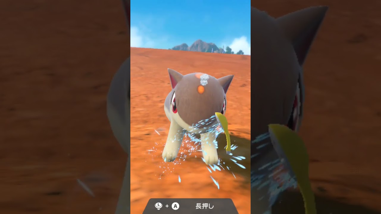 マグマラシ 色違い  Quilava【ポケモンsv】