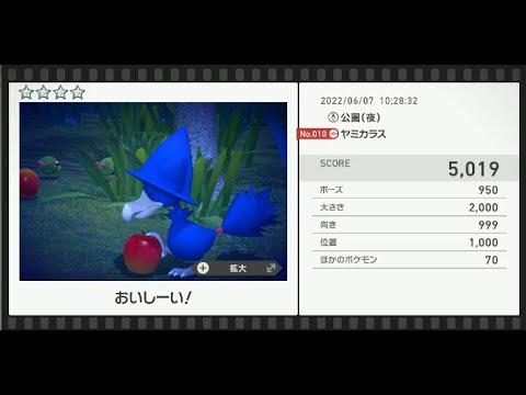 Newポケモンスナップ　★4ヤミカラス【5019】