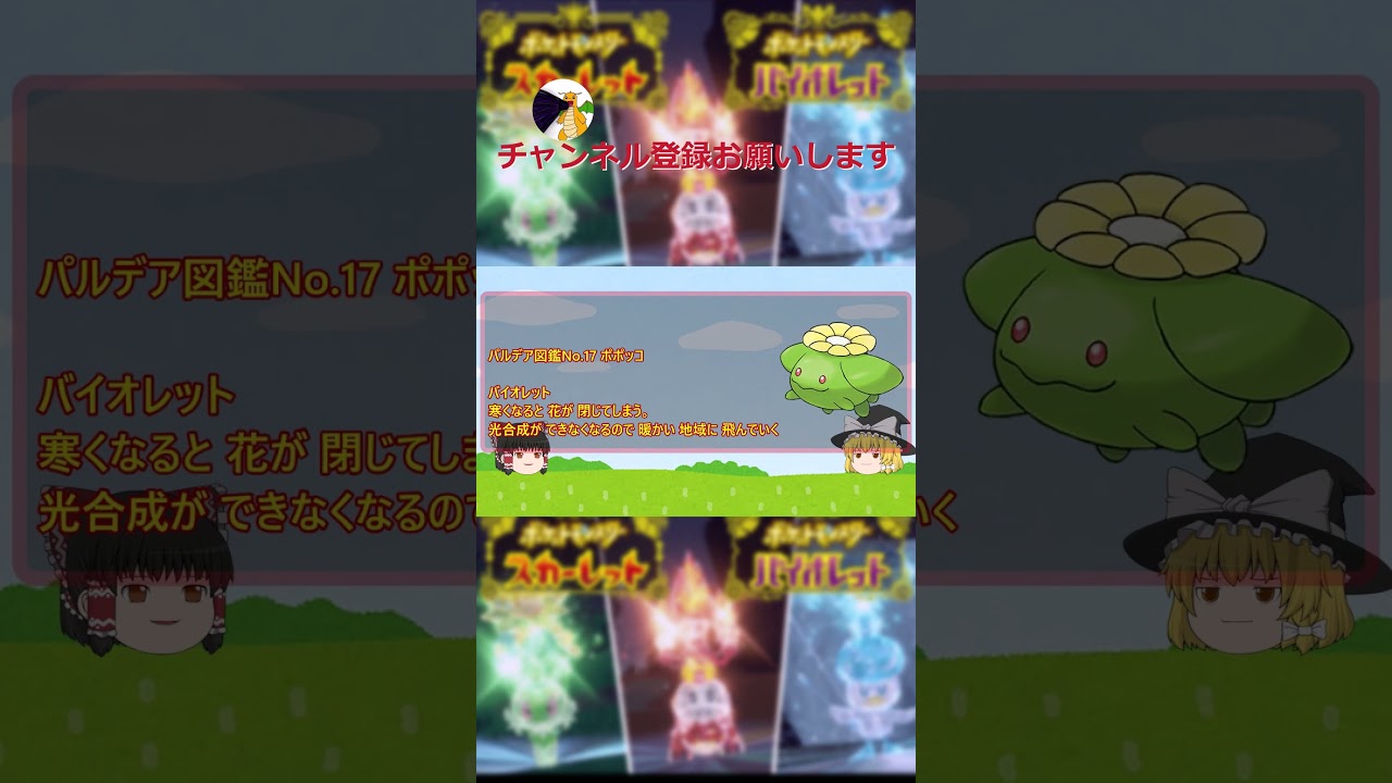 【ポケモンSV】図鑑紹介part17～ポポッコ～#shorts #pokemon #ポポッコ