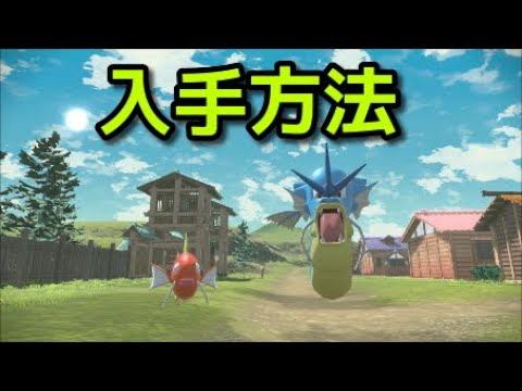 【ポケモン アルセウス】コイキング ギャラドス 入手方法 出現場所 捕まえ方【Pokémon LEGENDS アルセウス】