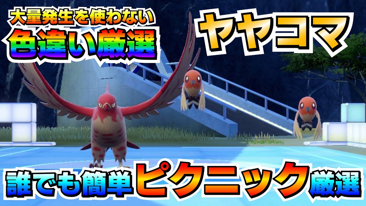 【ポケモンSV】ヤヤコマの色違い厳選はブルベリ学園がオススメ！パルデアよりも見易くて簡単に厳選出来る！【色厳選】