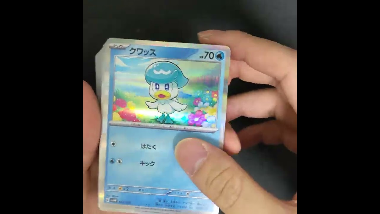 スターターセット クワッス&ミミッキュex #クワッス #ウェーニバル #ミミッキュ #shorts