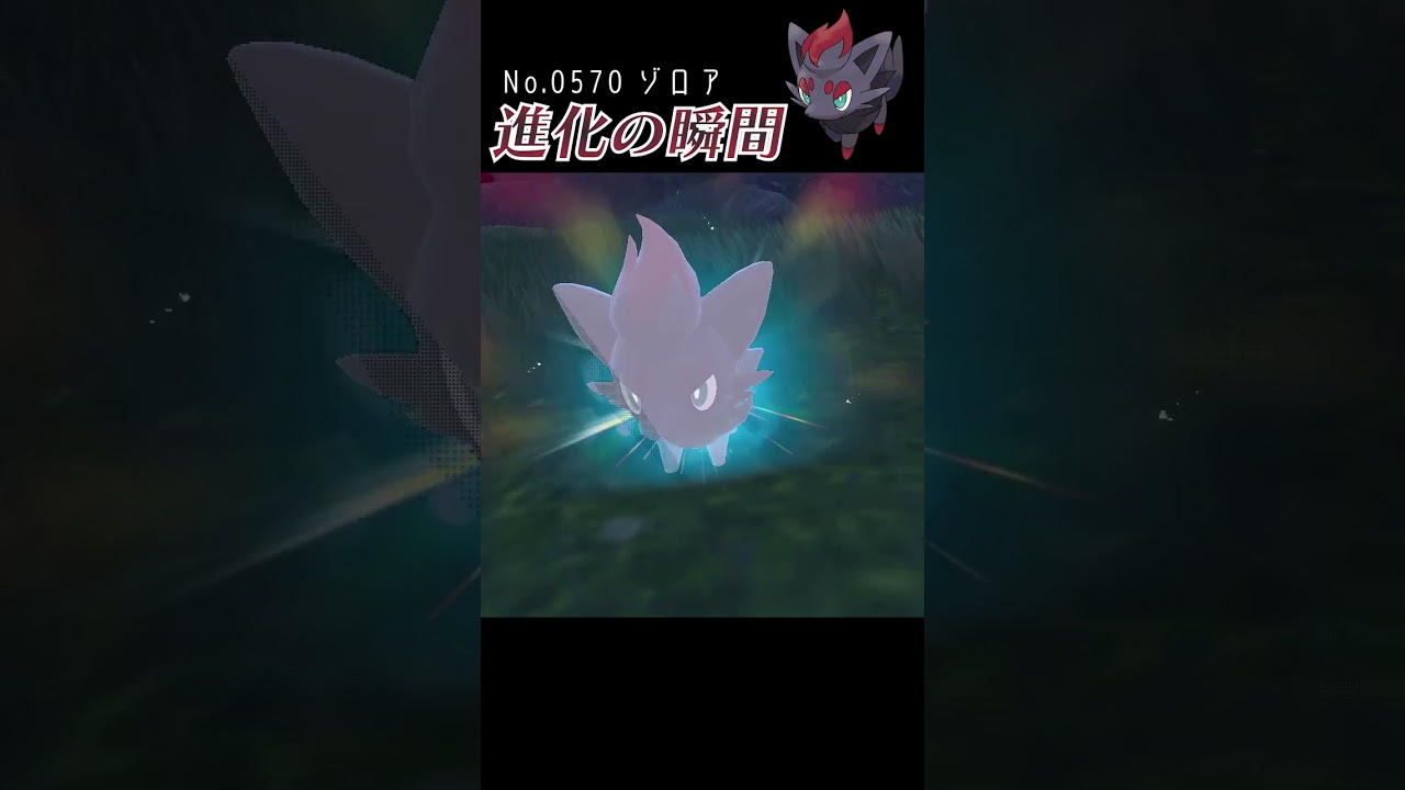 【バイオレット】ゾロア 進化の瞬間 #shorts