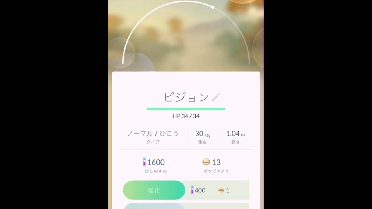 【ポケモンGO】初めての進化！！（ポッポ→ピジョン）でも、これ絶対バグだ！！！www